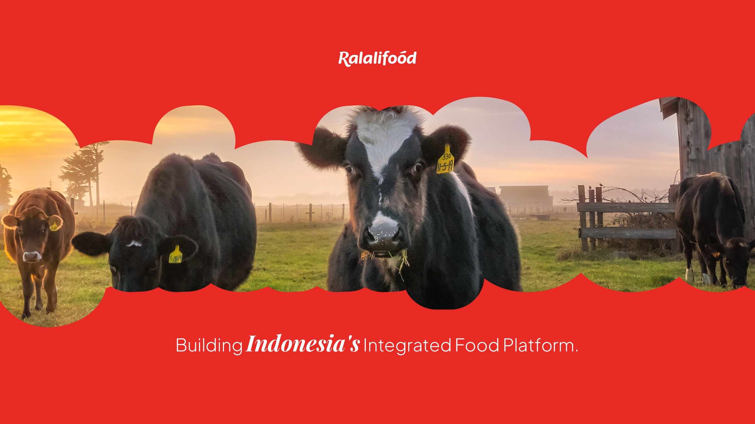 RalaliFood B2B platform mockup